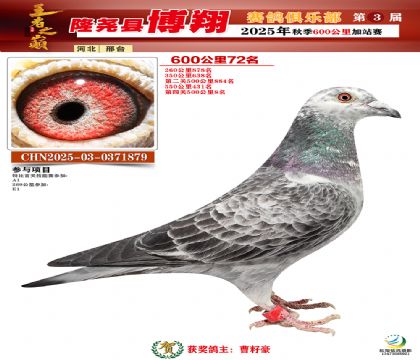 博翔600公里72名