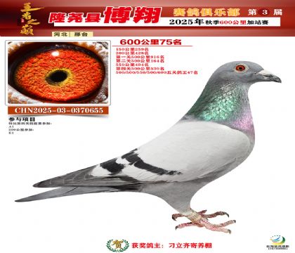 博翔600公里75名