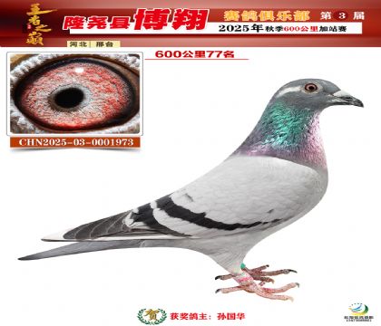 博翔600公里77名