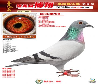 博翔600公里79名