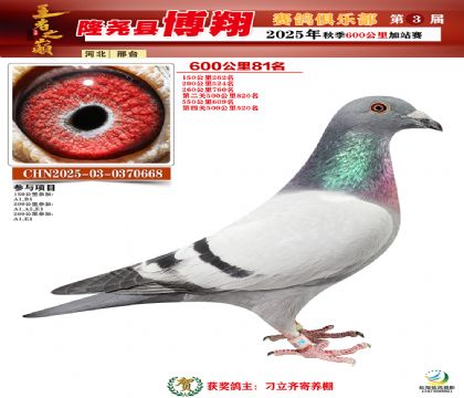 博翔600公里81名