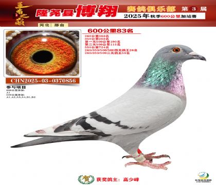 博翔600公里83名