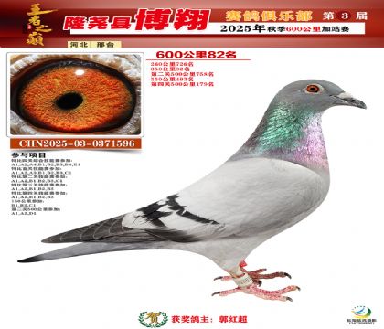 博翔600公里82名