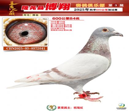 博翔600公里84名