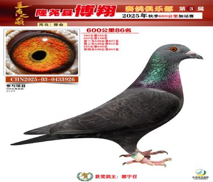 博翔600公里86名