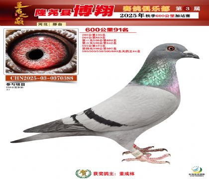 博翔600公里91名