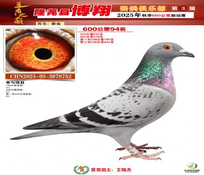 博翔600公里94名