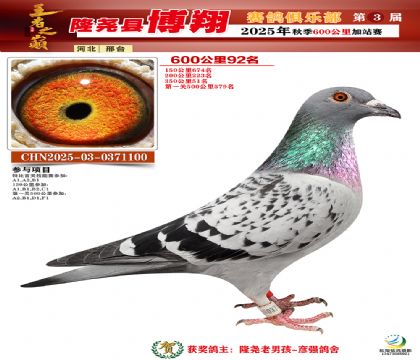 博翔600公里92名