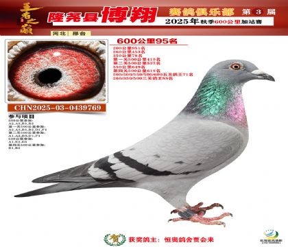 博翔600公里95名