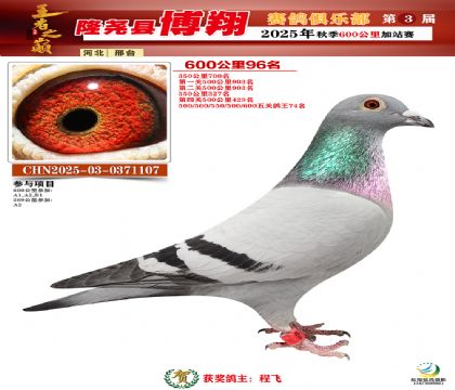 博翔600公里96名