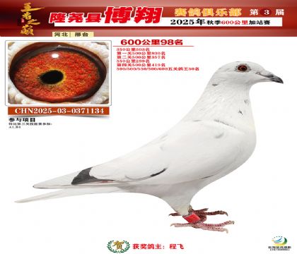 博翔600公里98名