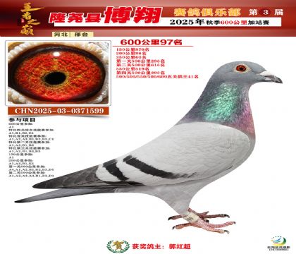 博翔600公里97名