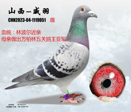 �ֲ������H��܊ƽ݅