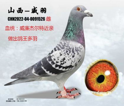 �����ܠ��ؽ��H