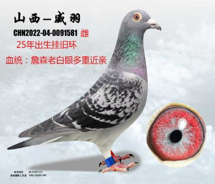 ղɭ�ϰ��۽��H