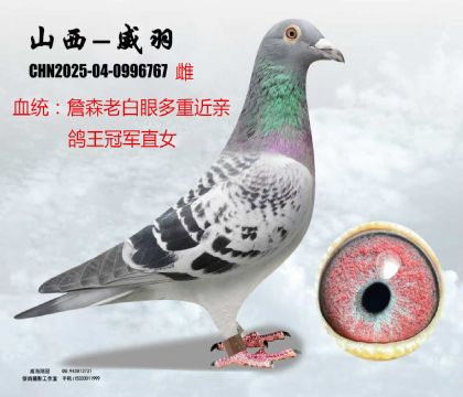 ղɭ�ϰ��۽��H������܊ֱ��