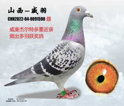 �����ܠ��ؽ��H