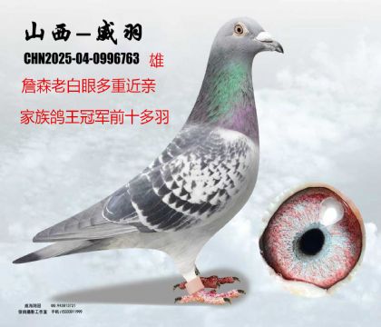 ղɭ�ϰ��۶��ؽ��H