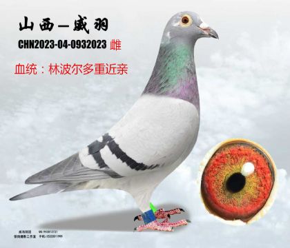 �ֲ������ؽ��H