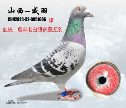 ղɭ�ϰ��۽��H