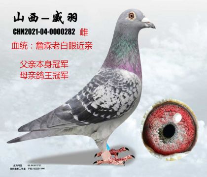 ղɭ�ϰ��۹�܊X������܊����