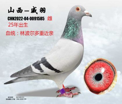 �ֲ������H