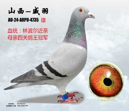 �ֲ������H