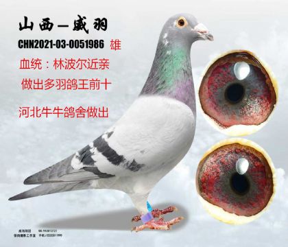 ţţ���������ֲ������H