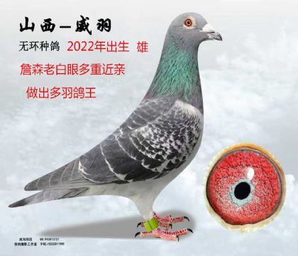 ղɭ�ϰ��۽��H