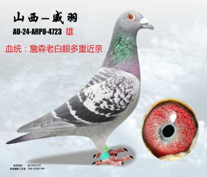 ղɭ�ϰ��۽��H