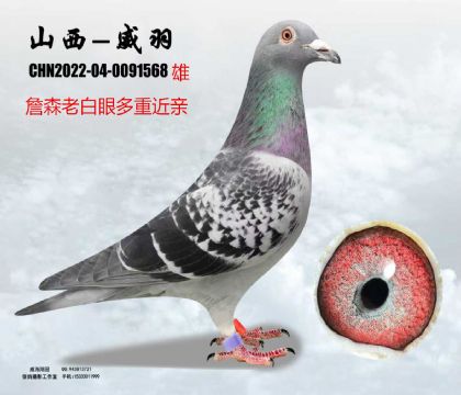 ղɭ�ϰ��۶��ؽ��H