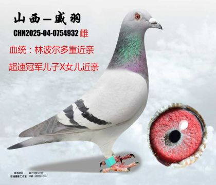 �ֲ������H��܊ֱ��X(ju��)ֱŮ