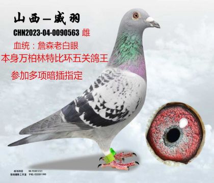 �f�������P(gu��n)����ղɭ�ϰ���