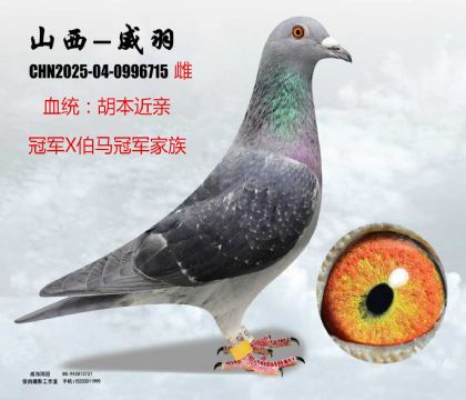 �������H��܊X���ٹ�܊