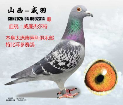 �ΈA���ر������ܠ���