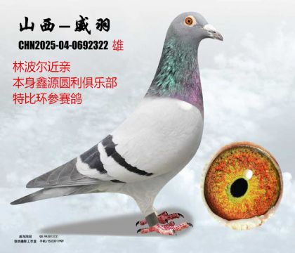 �ΈA���ر��ֲ���