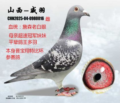 �x�����ر�ղɭ�ϰ���