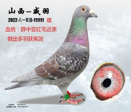 Ѧ�Ё��të���H