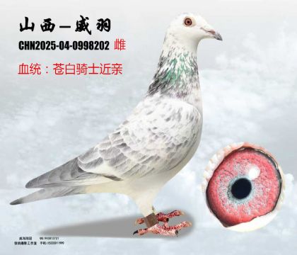 �n���Tʿ���H