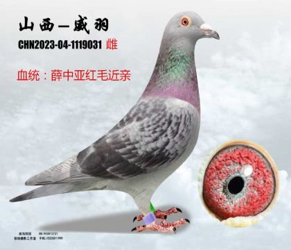 Ѧ�Ё��të���H