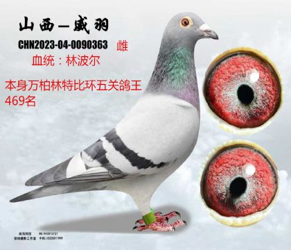 �f�������P(gu��n)�����ֲ���