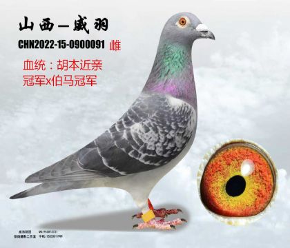 �������H���ٹ�܊����