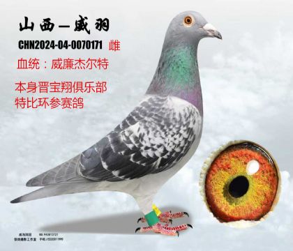 �x�����ر������ܠ���