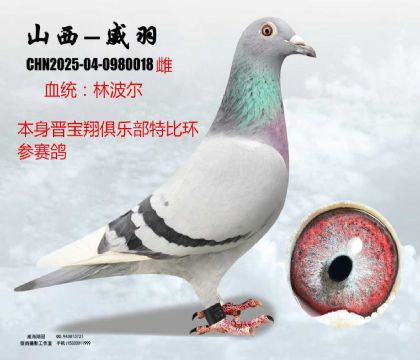 �x�����ر��ֲ���