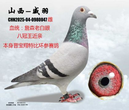 �x�����ر�ղɭ�ϰ��۰˹�������