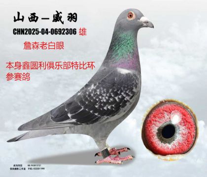 �ΈA���ر�ղɭ�ϰ���