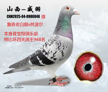 �x�������P(gu��n)����ղɭ�ϰ���