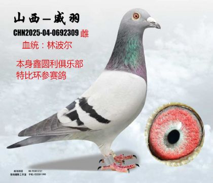 �ΈA���ر��ֲ���