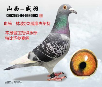 �x�����ر������ܠ���