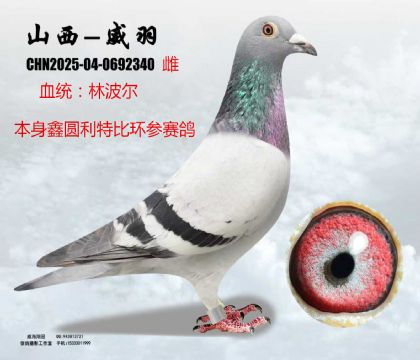 �ΈA���ر��ֲ���